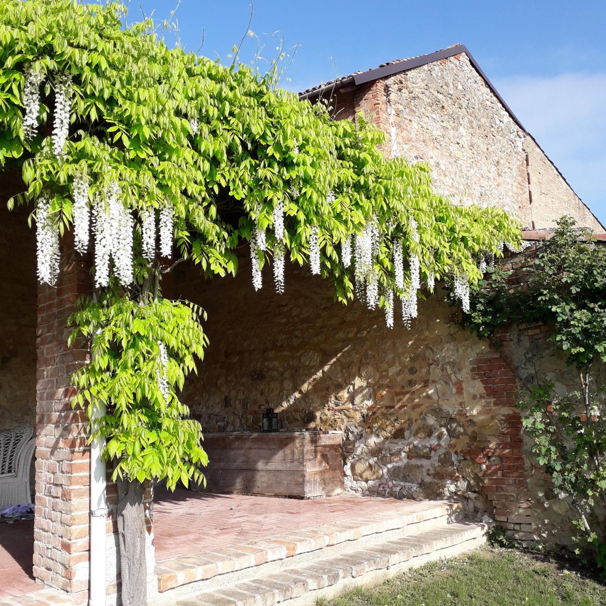 Bed and Breakfast Casa Rovelli Alfiano Natta Esterno foto