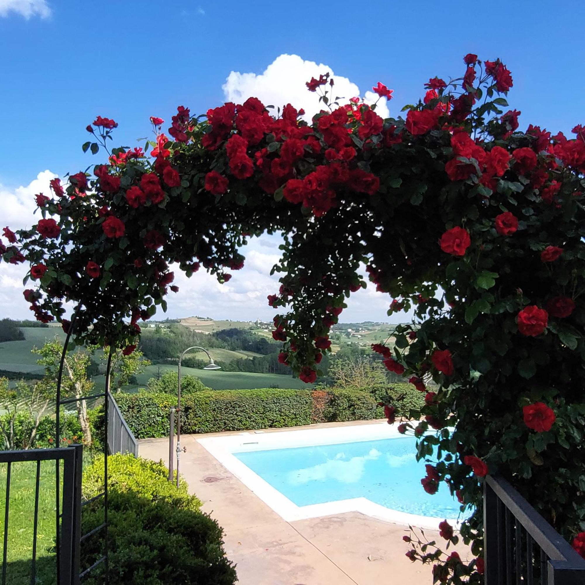 Bed and Breakfast Casa Rovelli Alfiano Natta Esterno foto